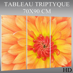 Triptyque Forex Fleur