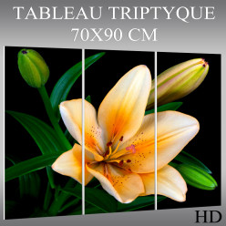 Triptyque Forex Fleur