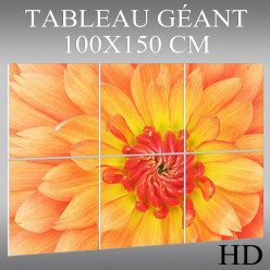 Triptyque Forex Fleur