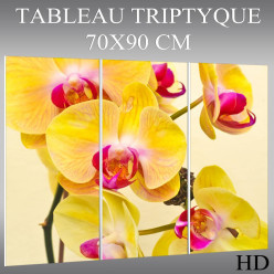 Triptyque Forex Orchidée