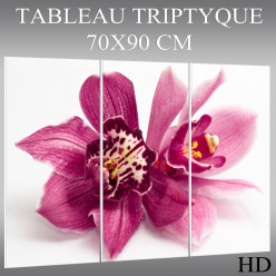 Triptyque Forex Orchidée