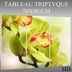 Triptyque Forex Orchidée