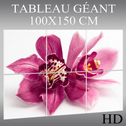 Triptyque Forex Orchidée