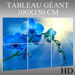 Triptyque Forex Orchidée