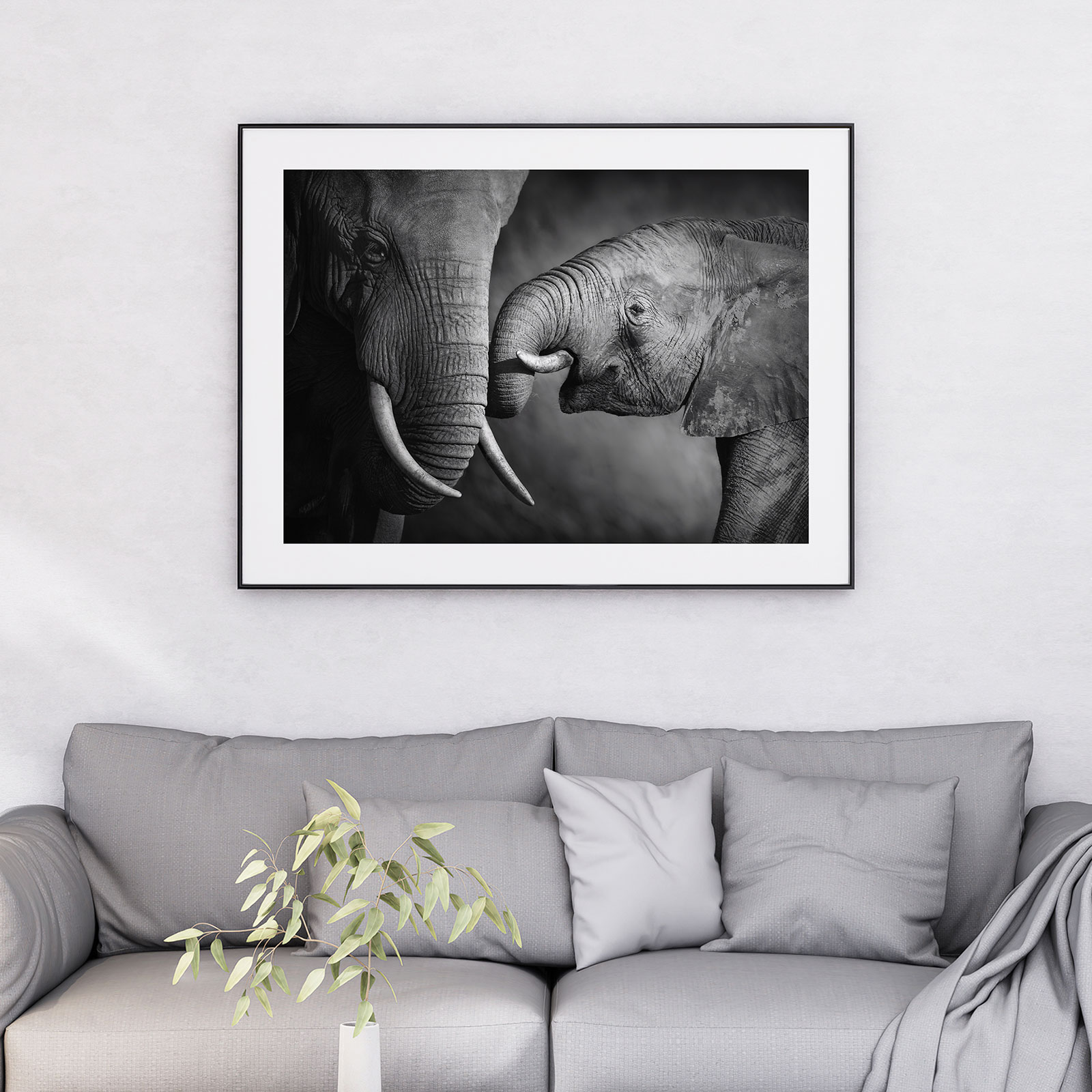 Affiche Poster 70x100cm Éléphant Dans La Jungle Et Le Brouillard - Déco Murale Moderne - Neuf