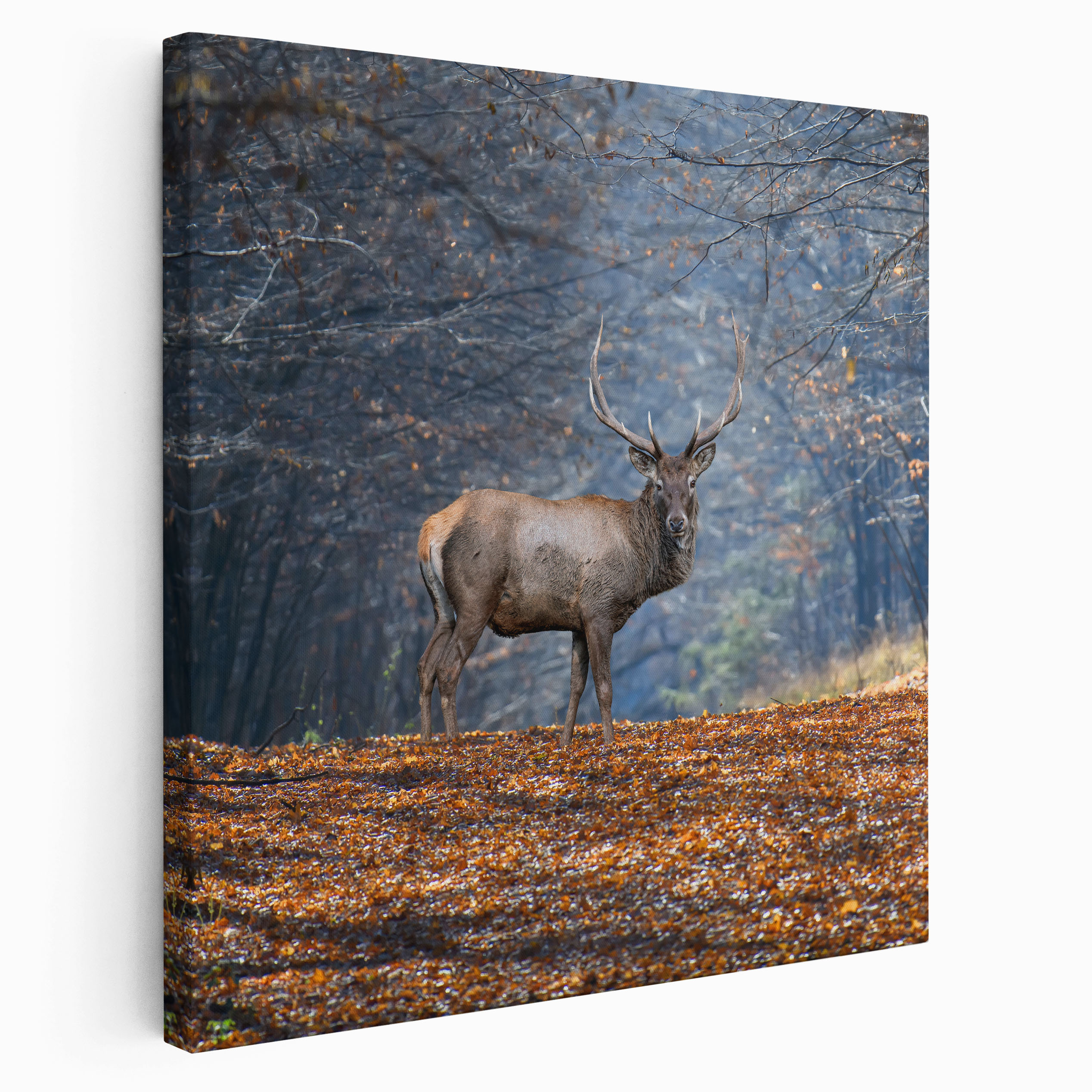 Tableau Toile Décoratif Cerf Sauvage 50 X 70 Cm | Impression Artistique Pour Salon Ou Bureau