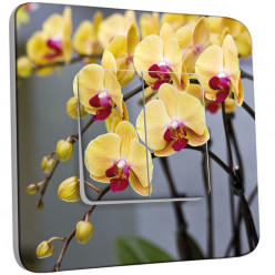 Interrupteur Décoré Double Va et Vient -  Orchidée Jaune 