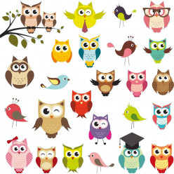 Kit Stickers hiboux et oiseaux