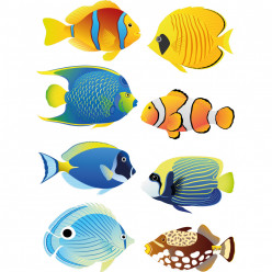 Kit stickers poissons