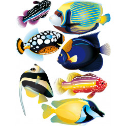 Kit stickers poissons