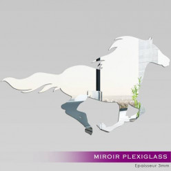 Miroir Plexiglass Acrylique - Cheval