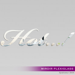 Miroir Plexiglass Acrylique - Hot...