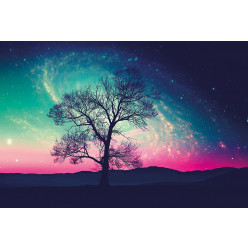 Poster - Affiche arbre ciel étoilé