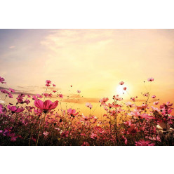 Poster - Affiche fleurs