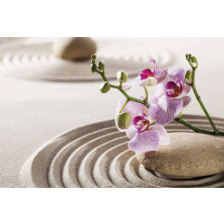 Poster - Affiche sable galet orchidée