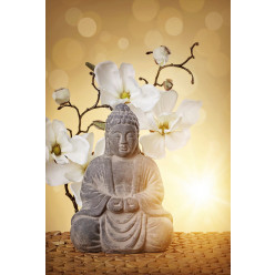 Poster - Affiche zen bouddha