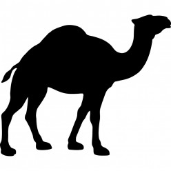 Stickers camel