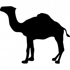 Stickers camel