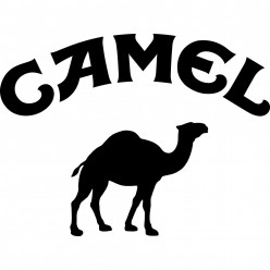 Stickers camel