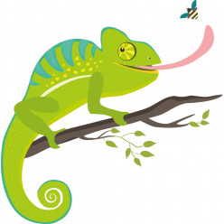 Stickers caméléon