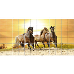 Stickers carrelage cheval