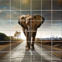 Stickers carrelage éléphant