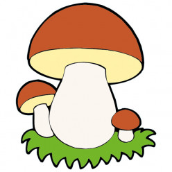 Stickers Champignons