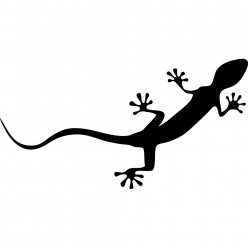 Stickers gecko audi quattro