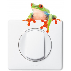 Stickers grenouille pour prise et interrupteur
