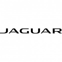 Stickers jaguar