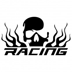Stickers skull racing