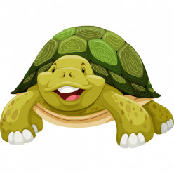 Stickers tortue