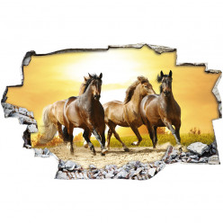 Stickers Trompe l'oeil 3D - chevaux 2