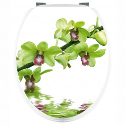 Stickers WC Branche d'Orchidée