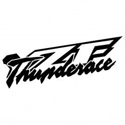 Stickers yamaha yzf thunderace