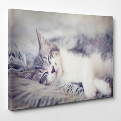 Tableau toile - Chat 18