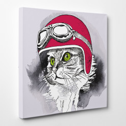 Tableau toile - Chat Cool 5