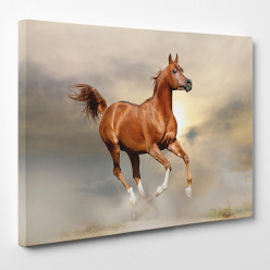 Tableau toile - Cheval 14