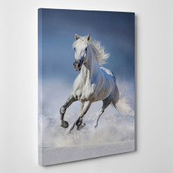 Tableau toile - Cheval 2