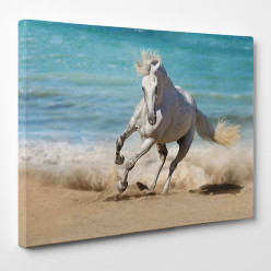 Tableau toile - Cheval 22