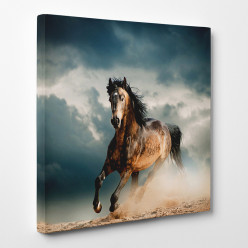 Tableau toile - Cheval 5