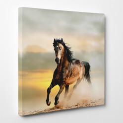 Tableau toile - Cheval 6