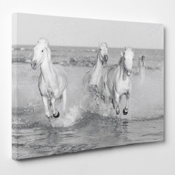 Tableau toile - Chevaux 11