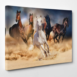 Tableau toile - Chevaux 16