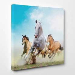 Tableau toile - Chevaux