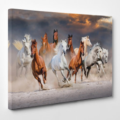 Tableau toile - Chevaux 20