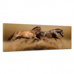 Tableau toile - Chevaux 28