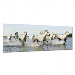 Tableau toile - Chevaux 29