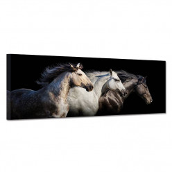 Tableau toile - Chevaux 33