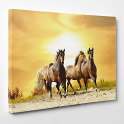 Tableau toile - Chevaux 4